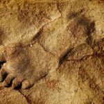 13000 years old footprints indicate early entrance of people in America