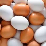 Eggs may develop different health issues in the body