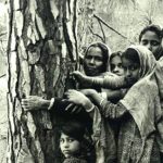 chipko movement