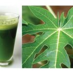 Papaya Leaf Juice