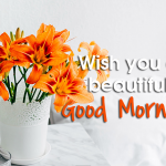 Best Good Morning Wishes Quotes Whatsapp Status Images Photos Picture