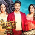 Naagin 4 , Naagin 4 written updates