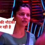 Colors TV ‘Bigg Boss 14’ Written Episode 23rd October 2020: Pavitra Punia Lashed On Rahul Vaidya