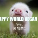 World Vegan Day 2020 Quotes Images Pictures Whatsapp Status Dp Pictures Theme 1