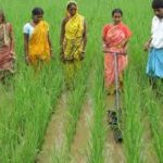 international-day-of-rural-women55555