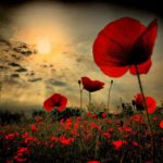 Rememberance Day 2020 Images Quotes Wishes Messages Sayings Pictures