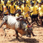 jallikattu-cheat-sheet-10-things-you-should-know-about-the-bull-taming-sport