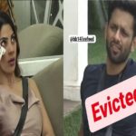 Bigg Boss 14 Voting Trends 5th December: Nikki Tamboli and Rahul Vaidya Elimination Netizens Slam Makers