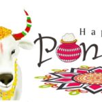 Pongal 2021 Date Significance Wishes SMS Celebration Know All The Facts 1