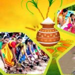 Pongal 2021 Date Significance Wishes SMS Celebration Know All The Facts