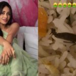 Nivetha Pethuraj Finds Cockroach in Food