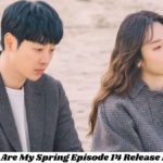 You Are My Spring Episode 14 Release Date Countdown