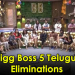 Bigg Boss Telugu 5 Elimination