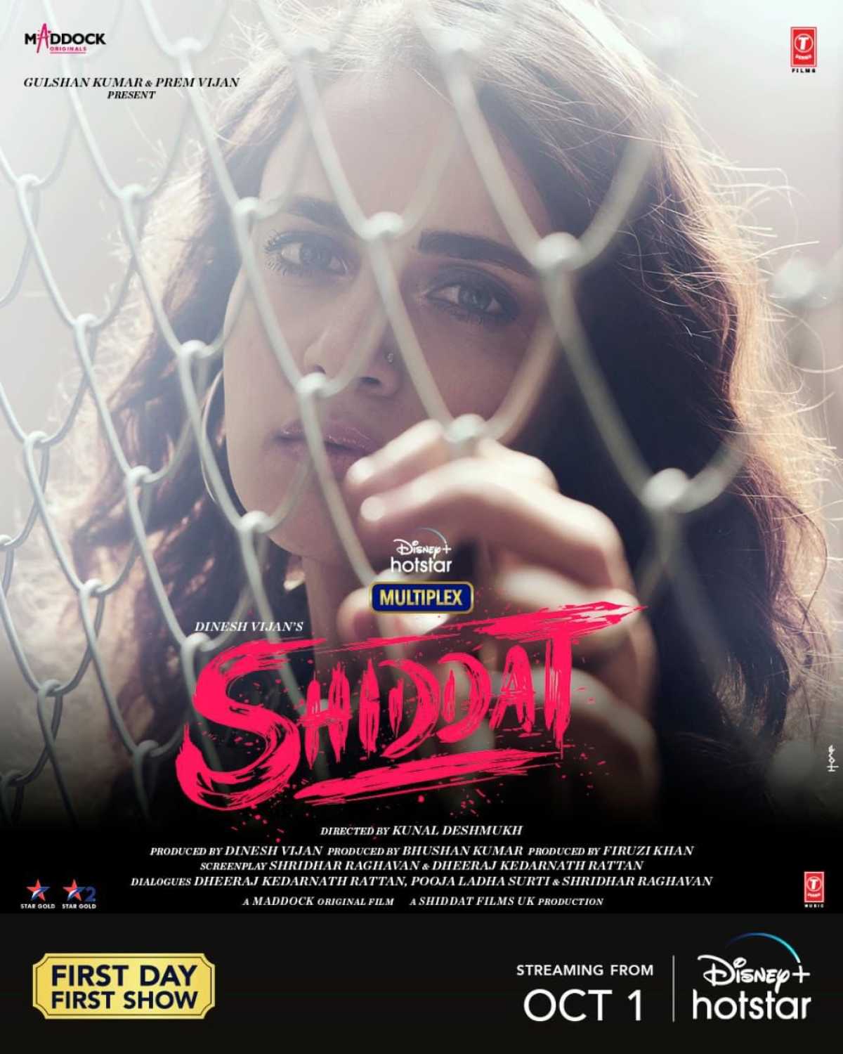 Shiddat movie hit or flop