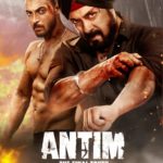 Antim The Final Truth Box office Collection