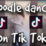 The Poop Noodle Song Trend on TikTok