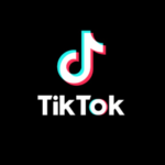 tiktok cat video