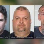 3 National Socialist Movement men arrested