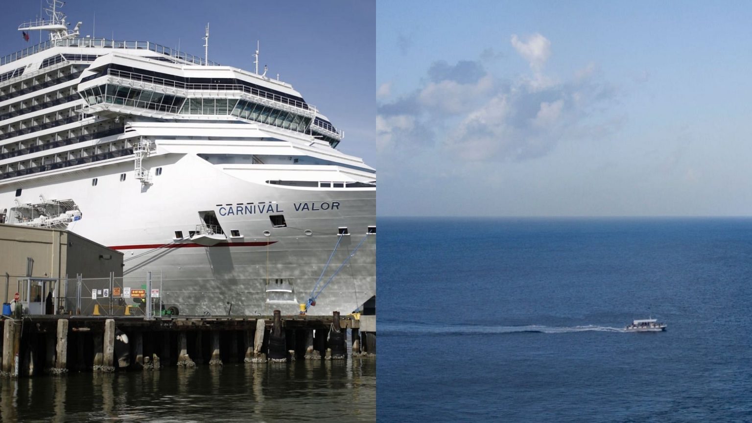 carnival cruise lady jumps off