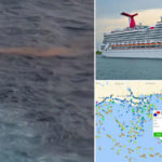 Woman jumps off Carnival Cruise ship video viral