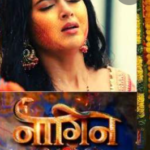 naagin 6