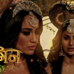 Naagin 6, Full Episode 1st May 2022 Written Update