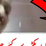 Lutfullah Niazi Full Viral Leaked