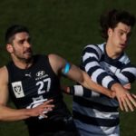 Carlton Vfl Match Report