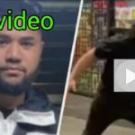 Lauie Tagaloa Fortitude Valley Stabbing Video